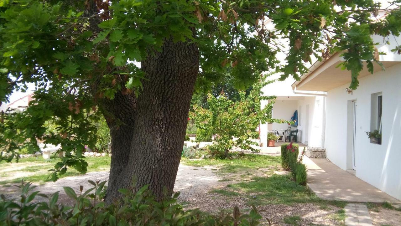 Apartman La Maison Zadar Dış mekan fotoğraf